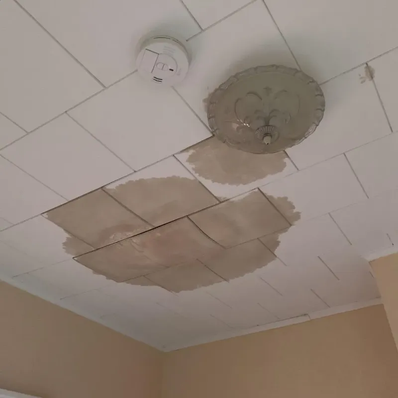 Ceiling Water Damage Repair in Batesville, MS