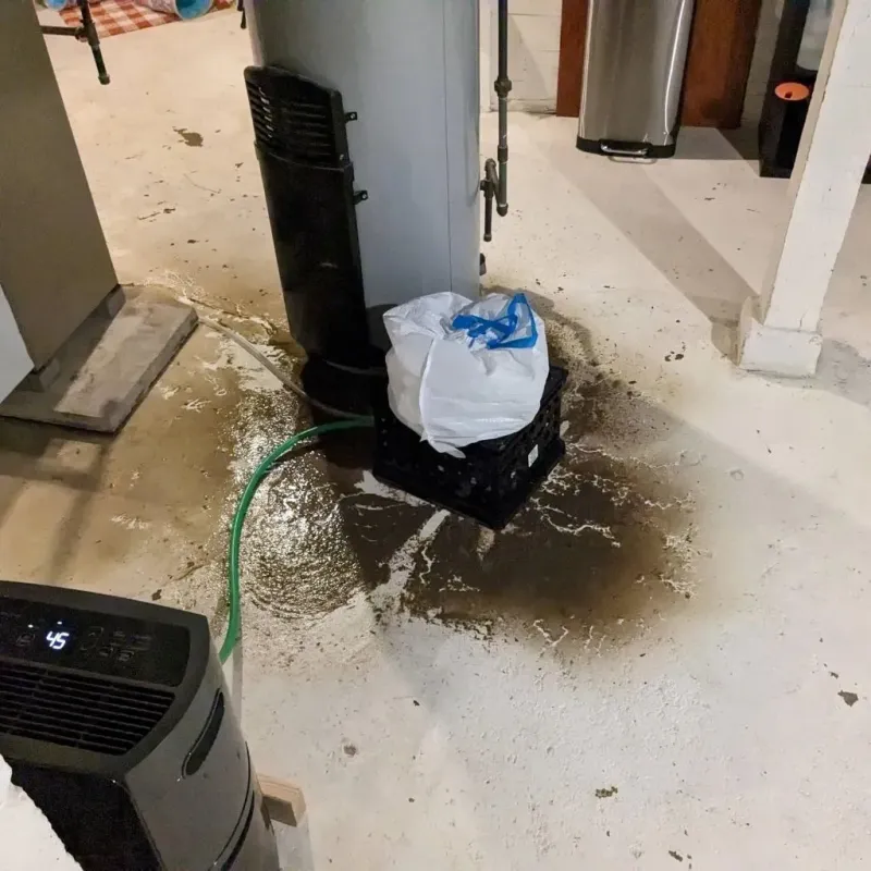 Sewage Backup Cleanup Service in Batesville, MS